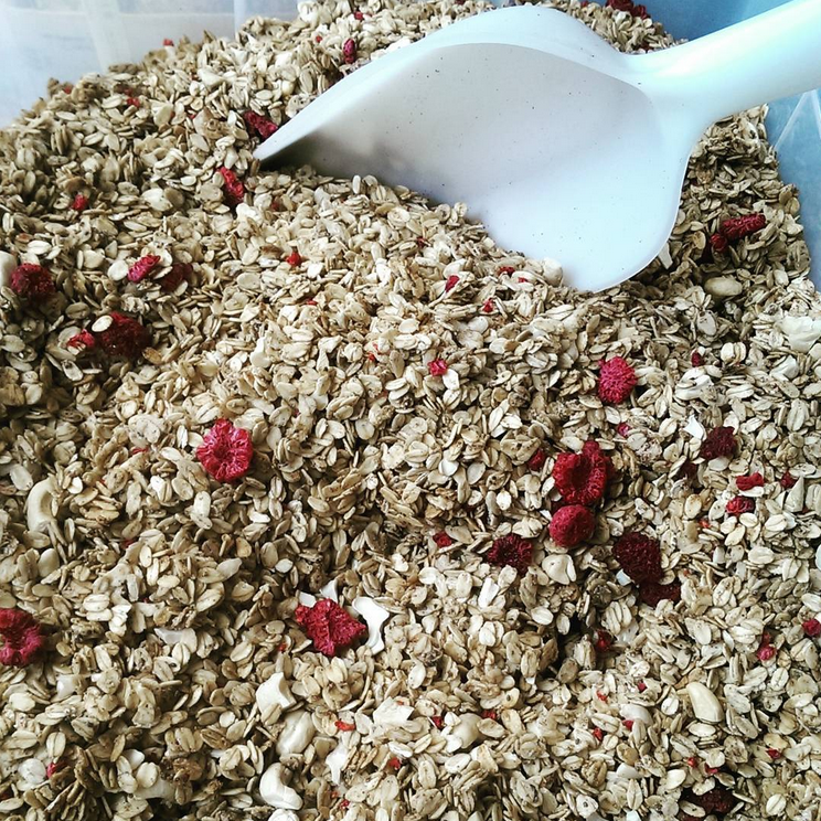 Domača granola z malinami 350g